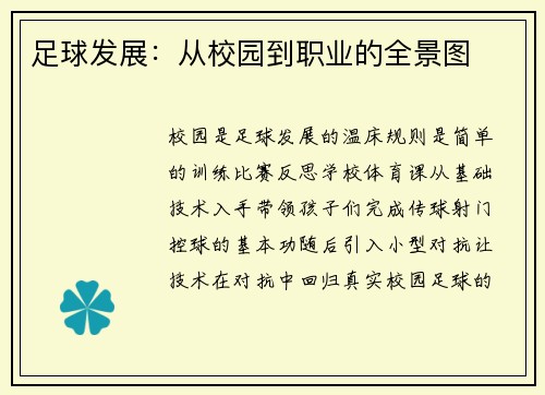 足球发展：从校园到职业的全景图