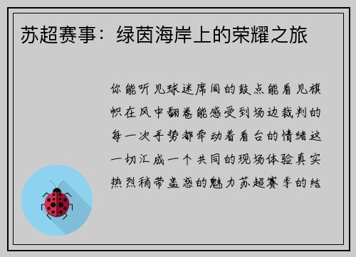 苏超赛事：绿茵海岸上的荣耀之旅